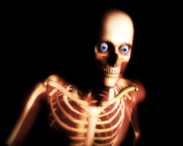 Skeleton — Stock Photo, Image