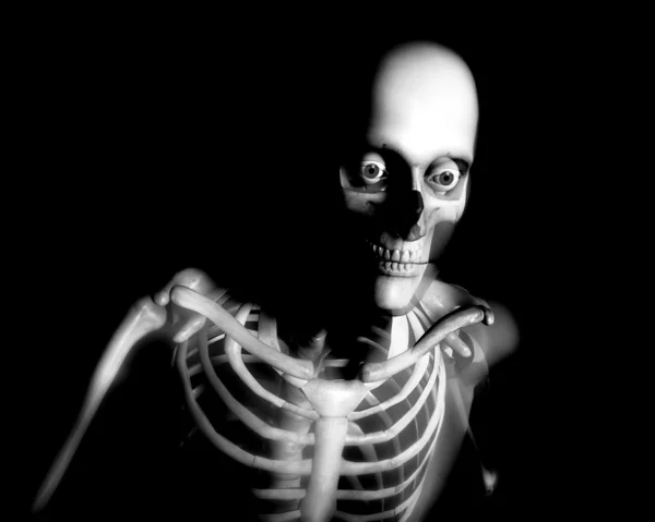 Skeleton — Stock Photo, Image