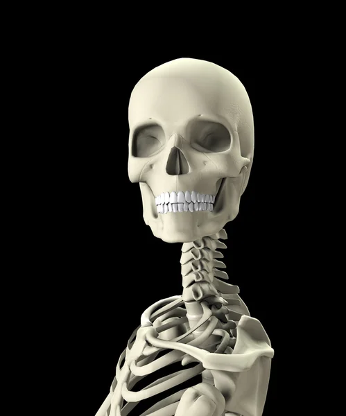 Zbliżenie czaszki — Zdjęcie stockowe