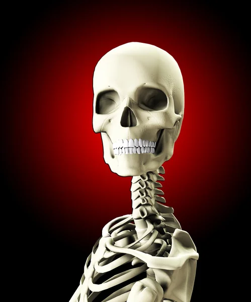 Close Up Of A Skull — Stock Photo, Image