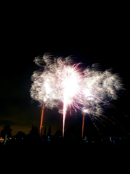 Fogos de artifício em Barkingside 2010 — Fotografia de Stock