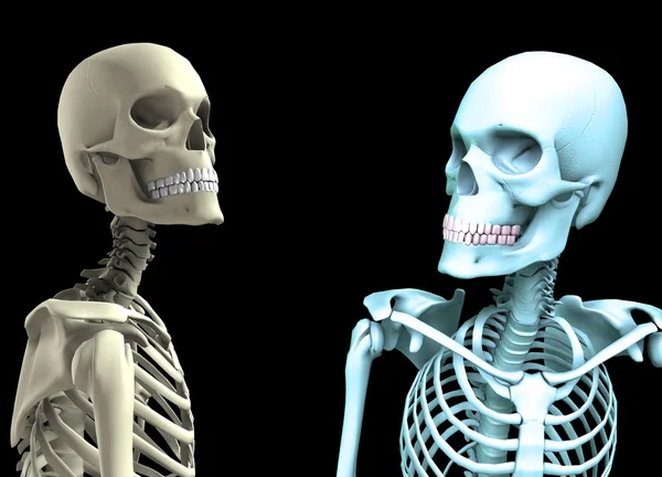 Two Skulls Looking At Each Other — Stock Photo, Image