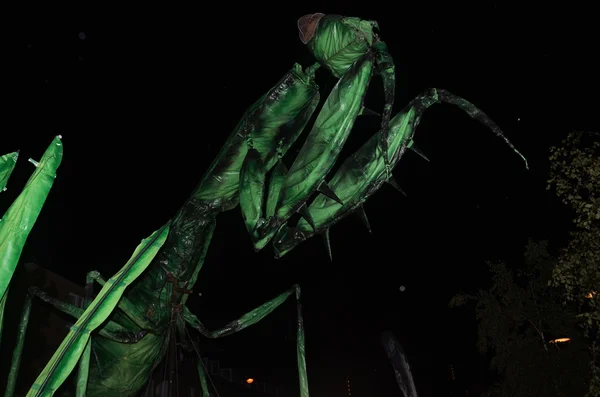 Insectes Down Roman Road At the Greenwich and Docklands Internat — Stock Photo, Image