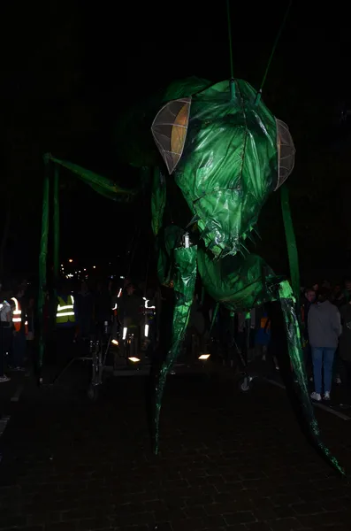 Insectes Romeinse weg op de greenwich en docklands internat — Stockfoto