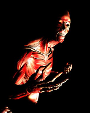 Anatomik korku vücut