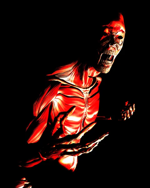 Anatomik korku vücut