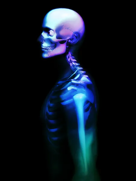 Colourful skeleton — Stock Photo, Image