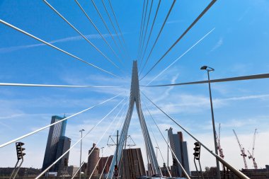 Hollanda'da Erasmusbrug Rotterdam