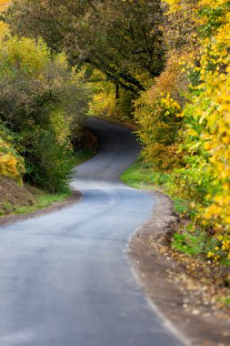 Ülke Yolu