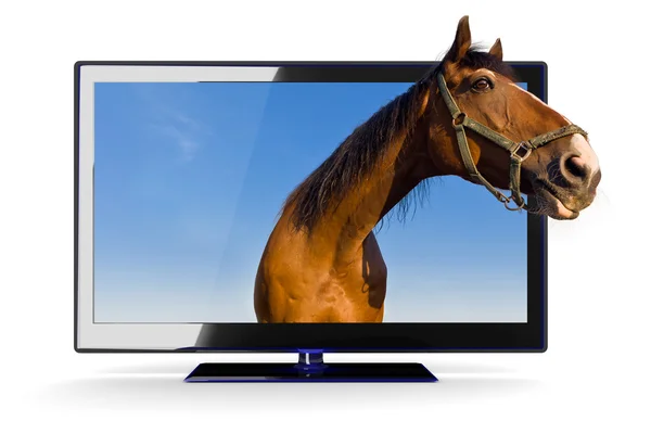 bir ATI 3D tv