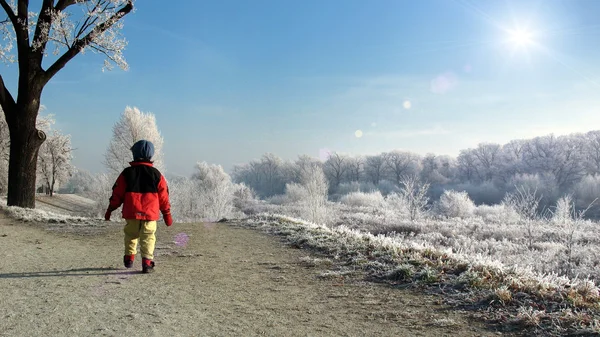 Ein frostiger Morgen — Stockfoto