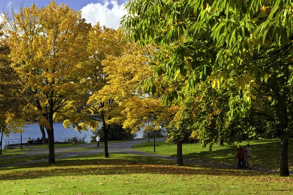 Een zonnige dag in de herfst — Stockfoto