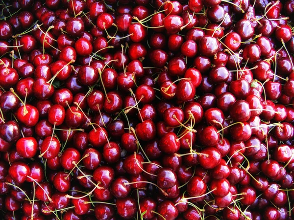 Cherries Stock Image