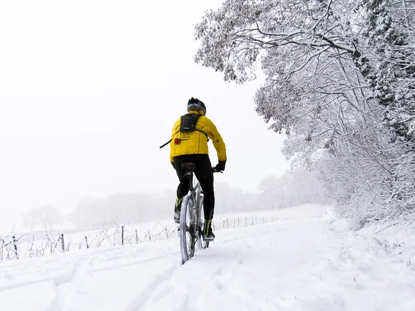 Treinamento no inverno — Fotografia de Stock