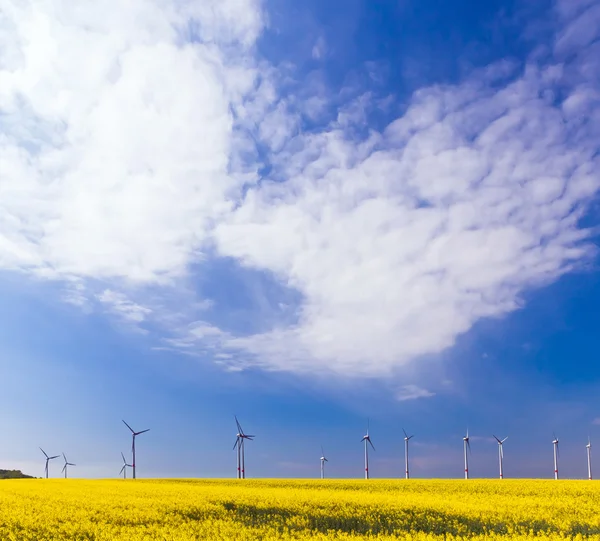A szél és a biológiai energia — Stock Fotó