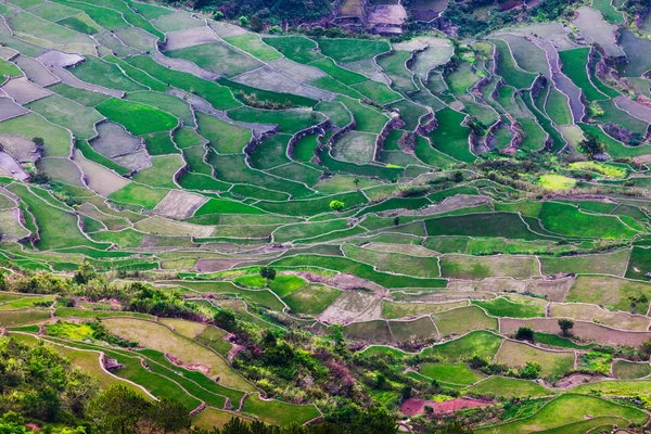 Ifugao — Stock Photo, Image