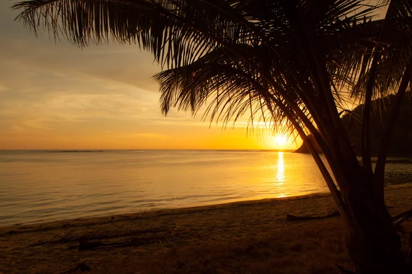 Romantische strand bij zonsondergang — Stockfoto