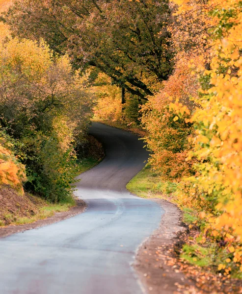 Camino de carril de otoño — Foto de Stock