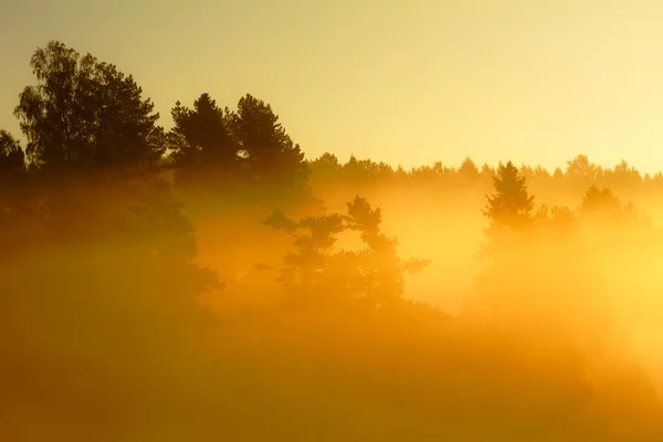 Solbränna — Stockfoto