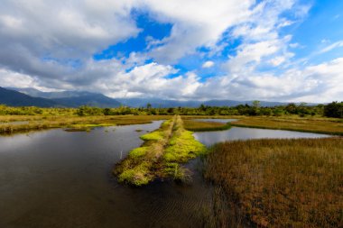terk edilmiş pirinç tarlaları