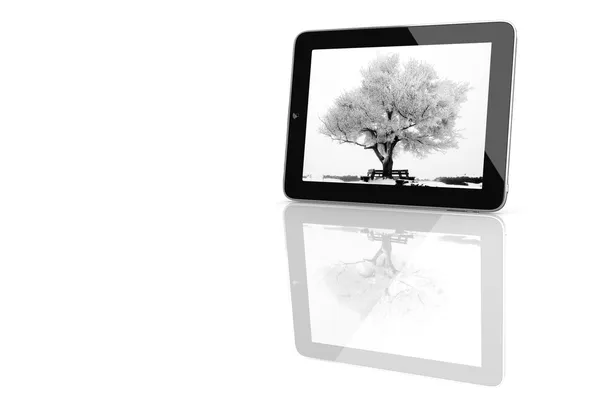 Tablet PC with a winter tree — Stock Photo, Image