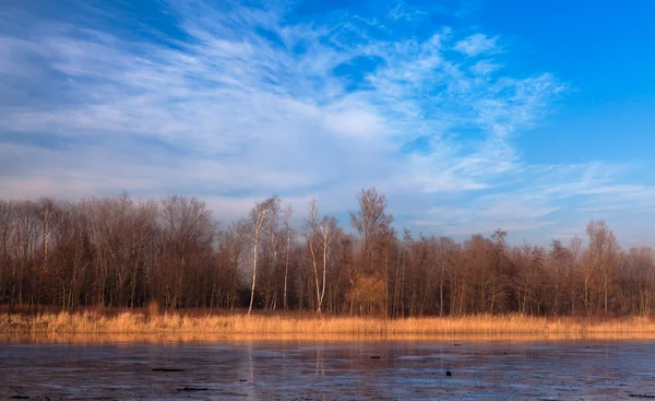 Frozen Pond — Stock Photo, Image