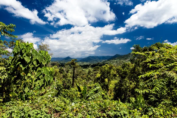 Paisaje de Palawan del Sur — Foto de Stock