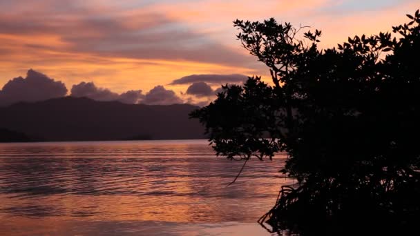 Atardecer tropical — Vídeo de stock