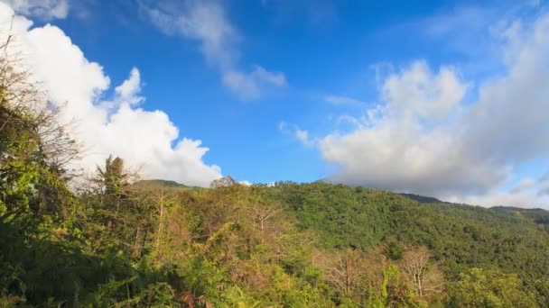 Wolken boven het regenwoud — Stockvideo