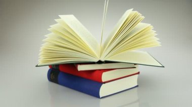 Açık bir kitap 2
