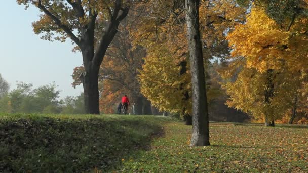 Efterår i parken 3 – Stock-video