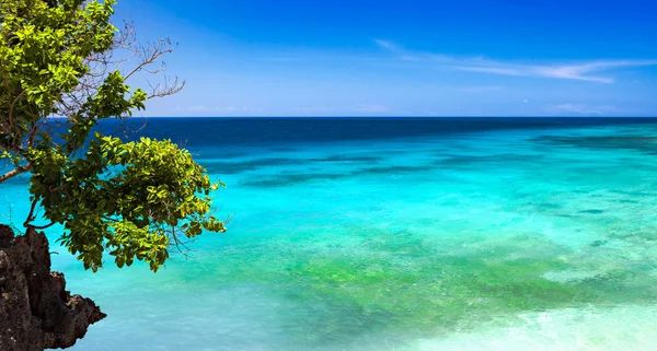 Above a reef — Stock Photo, Image
