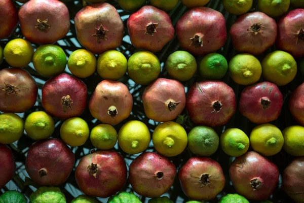 Samaritan Sukkot — Stock Photo, Image