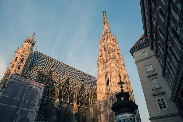 Iglesia Stephansdom en Viena —  Fotos de Stock