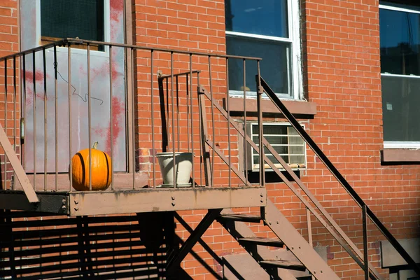 Decorazione di Halloween — Foto Stock