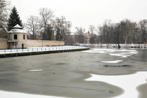 Ceske Budejovice — Stock Photo, Image