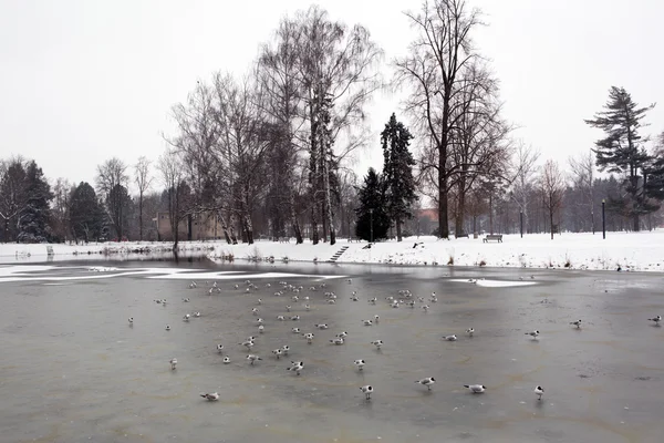 Frosen River — Stock Photo, Image