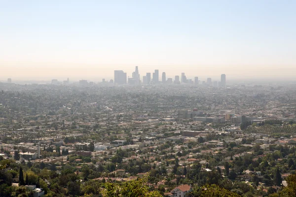 Los angles — Stockfoto