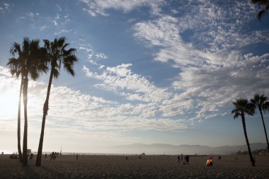 Venice beach Los Angeles 