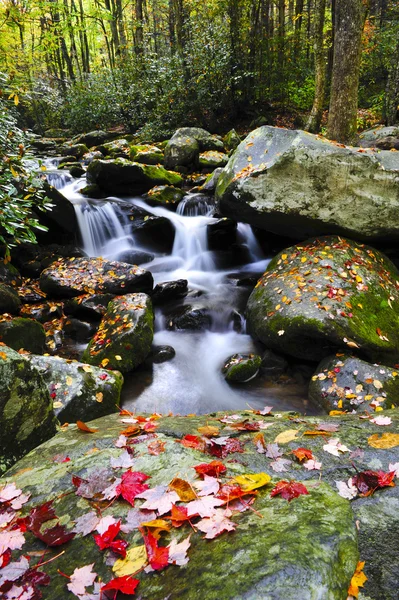 Wodospad w regionie smoky mountains — Zdjęcie stockowe