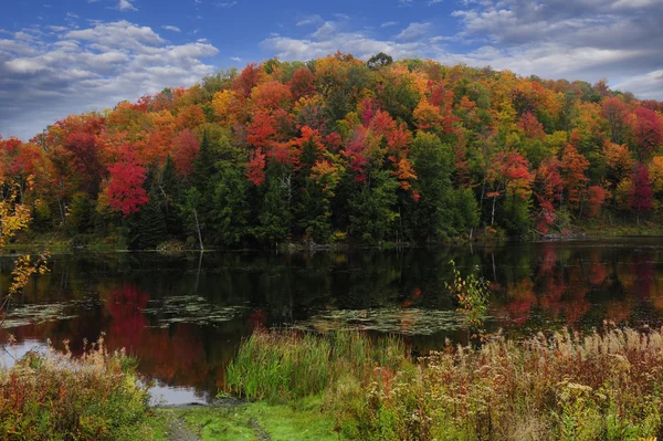 Colores otoño Fotos De Stock Sin Royalties Gratis
