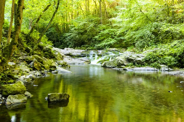 Lazy Stream en été Photos De Stock Libres De Droits