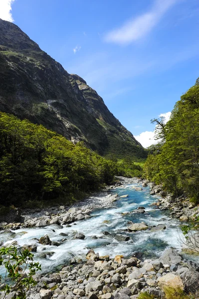 Blå flod som rinner i Nya Zeeland Stockfoto