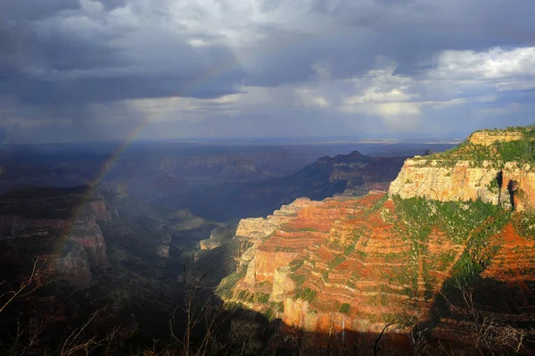 Rainbow and rain over the North Rim of the Grand Canyon — Stock Photo, Image