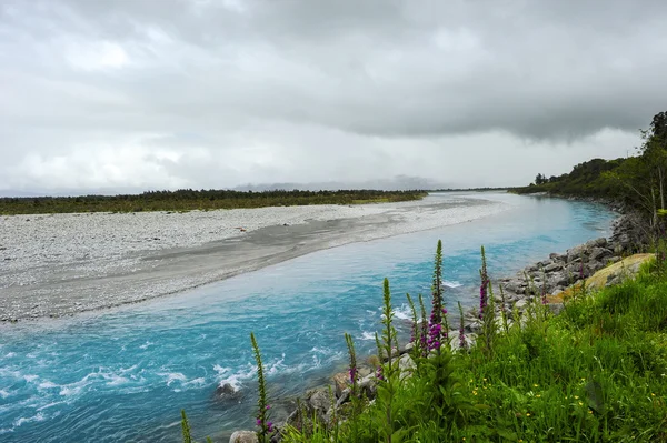 Wanganui river Nya Zeeland Stockfoto