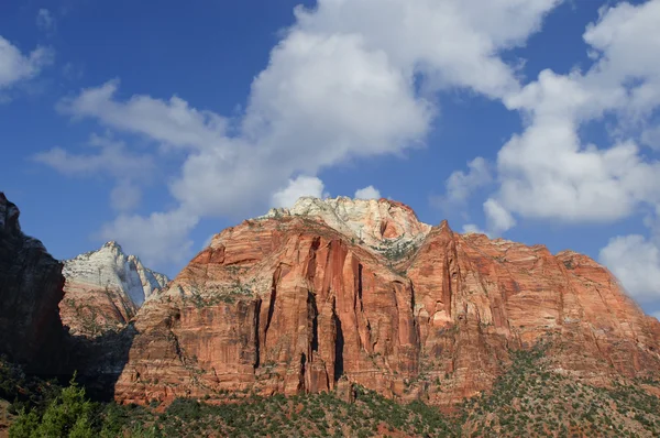 Zion National Park — Stock Photo, Image