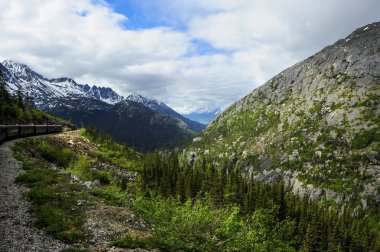 Skagway Alaska'dan beyaz pas tren