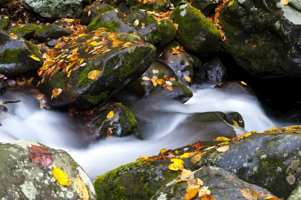 Bach im Herbst — Stockfoto