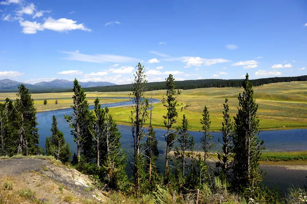 Hayden Valley — Zdjęcie stockowe