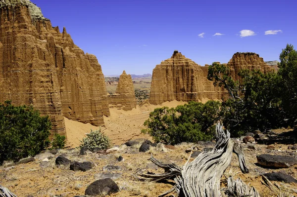 Katedra umyć w Parku Narodowego capitol reef — Zdjęcie stockowe